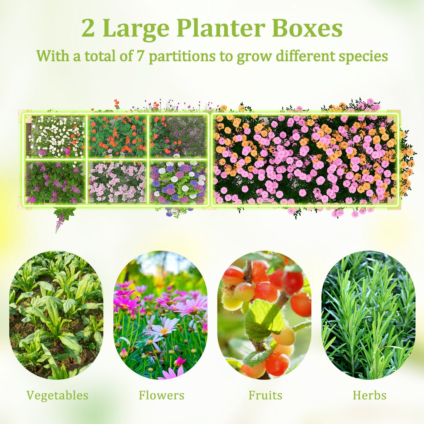 Wooden Raised Garden Bed with 2 Planter Boxes and Dividers-Natural