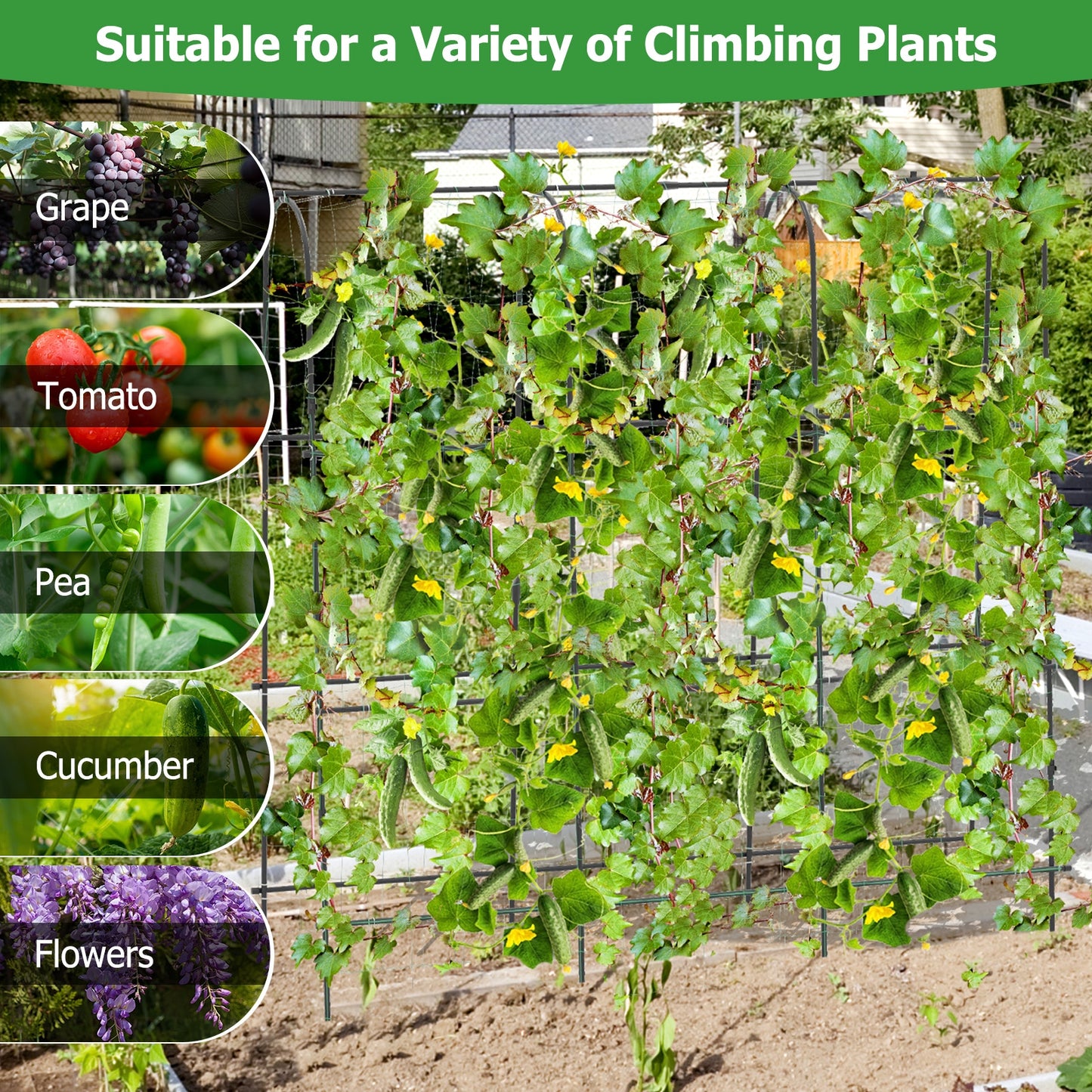 71 x 71 Inch U-Shaped Tall Garden Arched Trellis for Climbing Plants