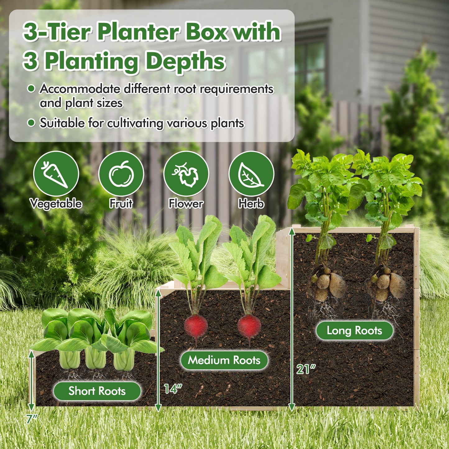 3-Tier Raised Garden Bed with Lattice Trellis and Open-Ended Base-Natural