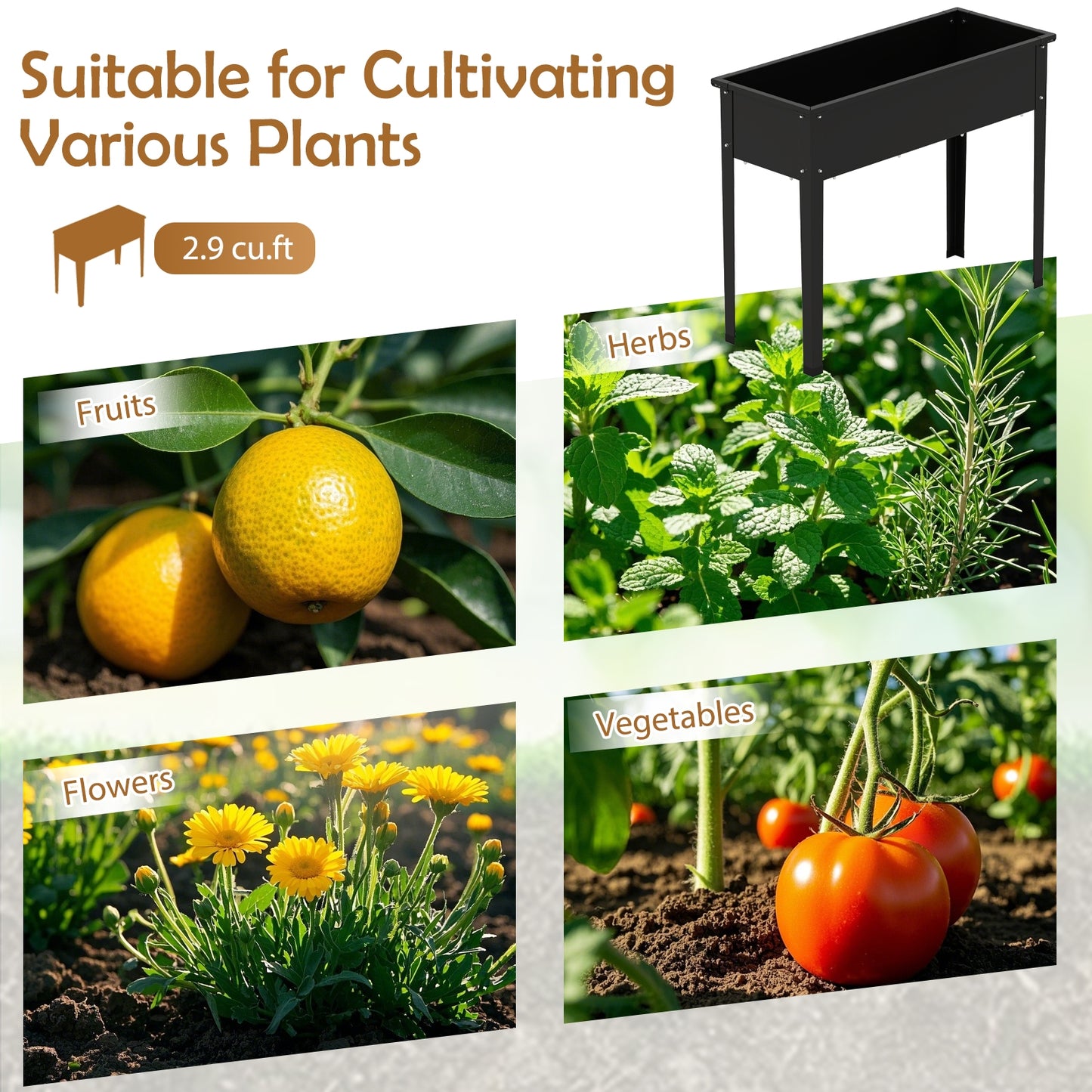 Raised Garden Bed Elevated Metal Planter Box with Legs Drainage Holes-M