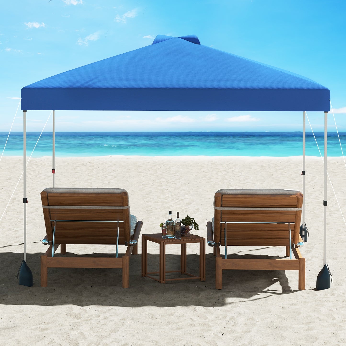 10 X 10 FT Pop up Canopy Tent with 1 Sidewall and Wheeled Bag-Blue